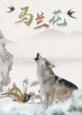 套路直播回放如何免费观看